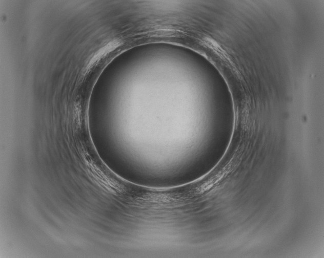 X0000087381402200704271545