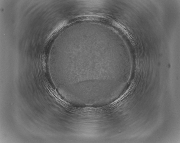 X0000087381403200704271545