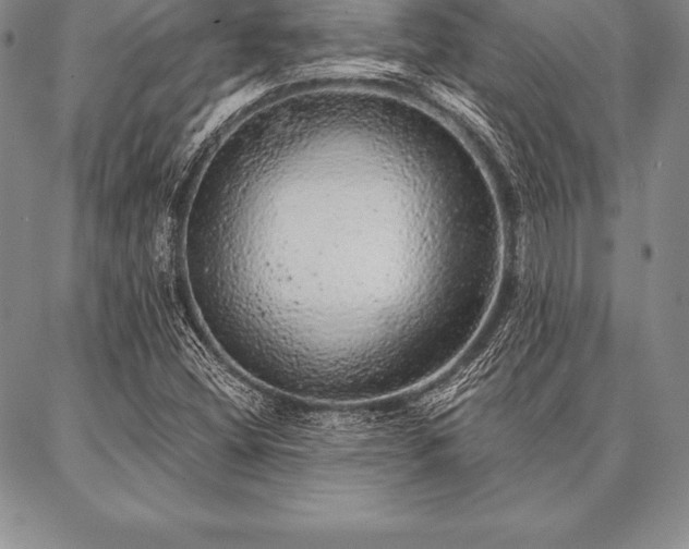 X0000087381404200704271545