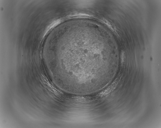 X0000087381405200704271546