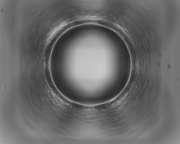 X0000087381406200704271546