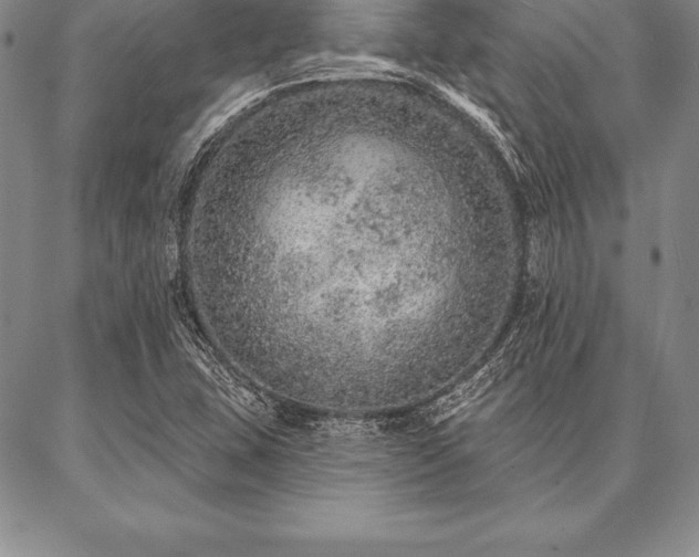 X0000087381407200704271546