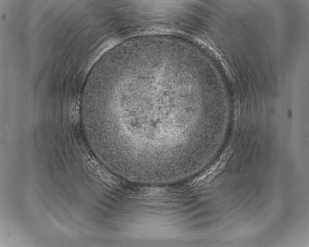 X0000087381409200704271546