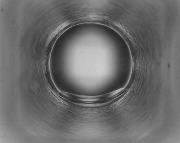 X0000087381410200704271546