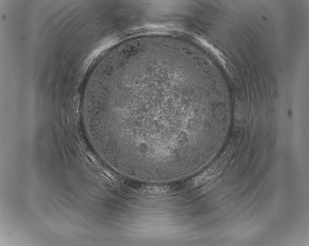 X0000087381411200704271546