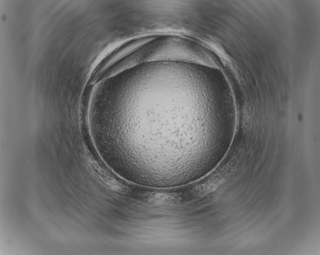 X0000087381412200704271546