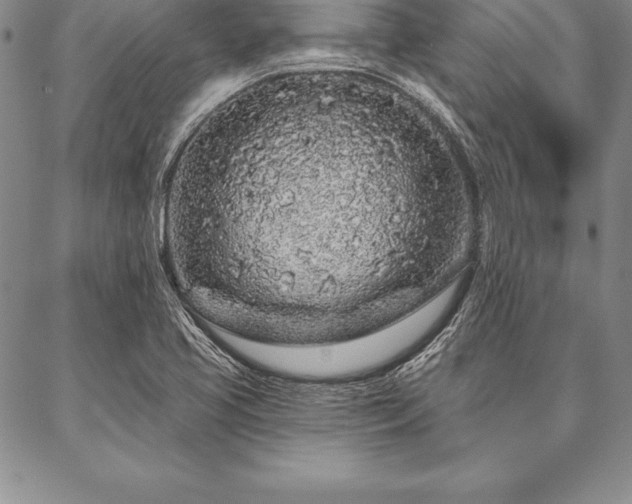 X0000087381413200704271546