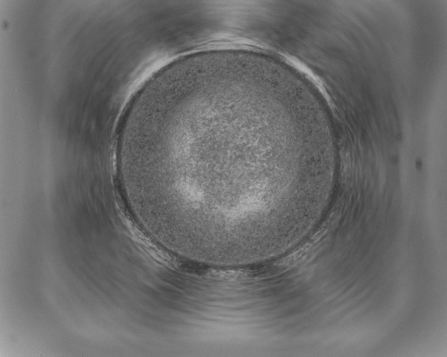 X0000087381415200704271546