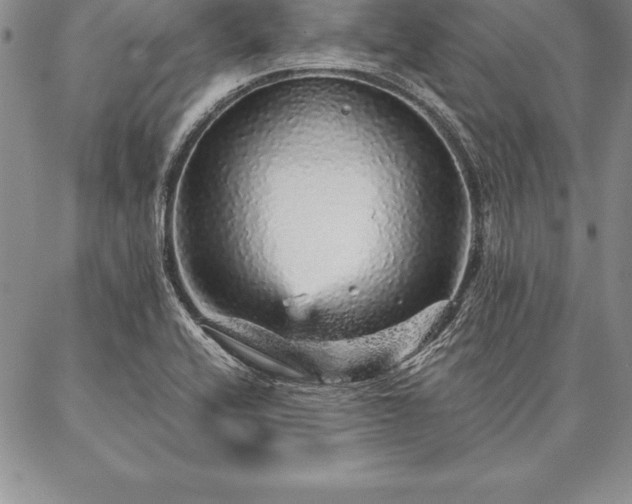 X0000087381416200704271546