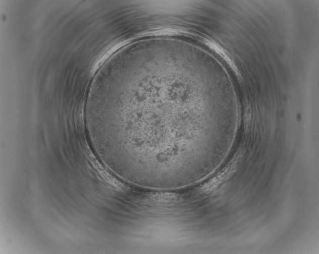 X0000087381417200704271546