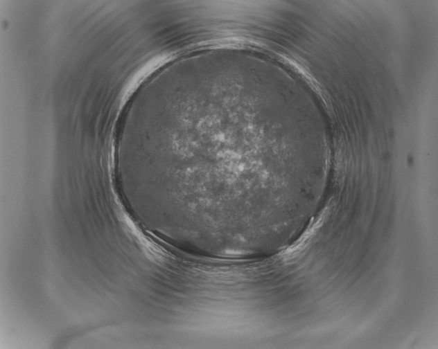 X0000087381418200704271546