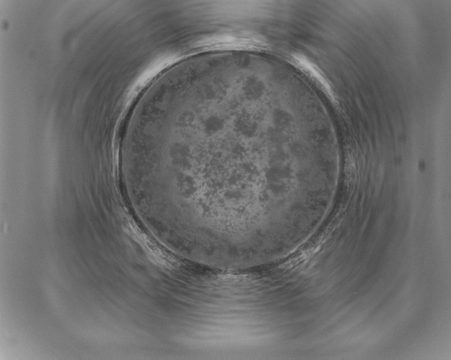 X0000087381419200704271546