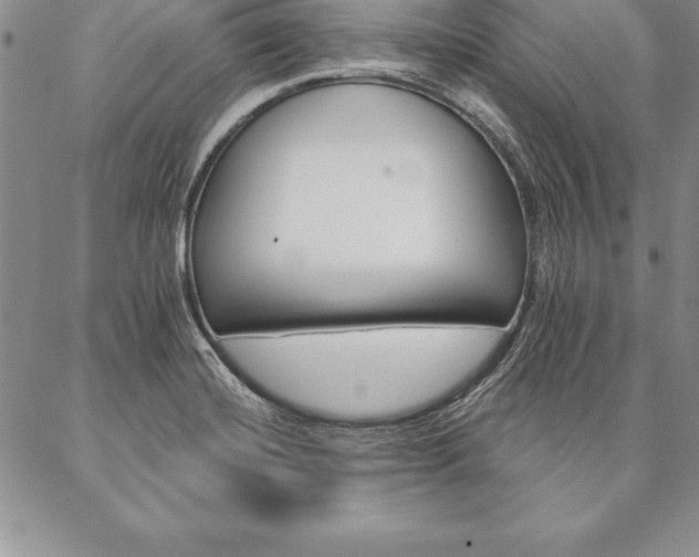 X0000087381420200704271546