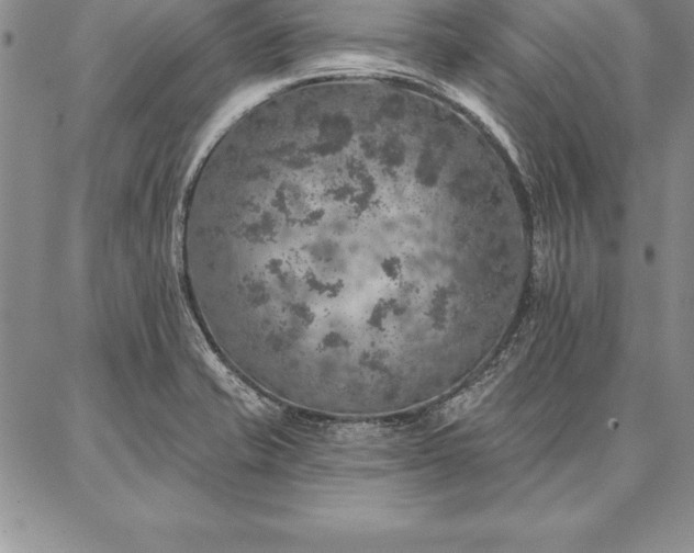 X0000087381421200704271546