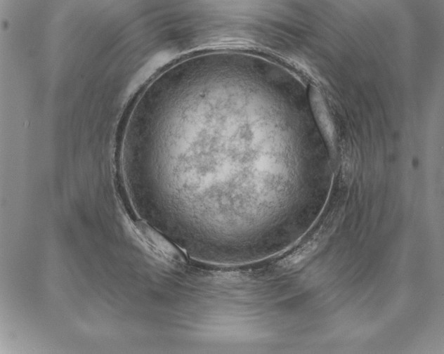 X0000087381422200704271546