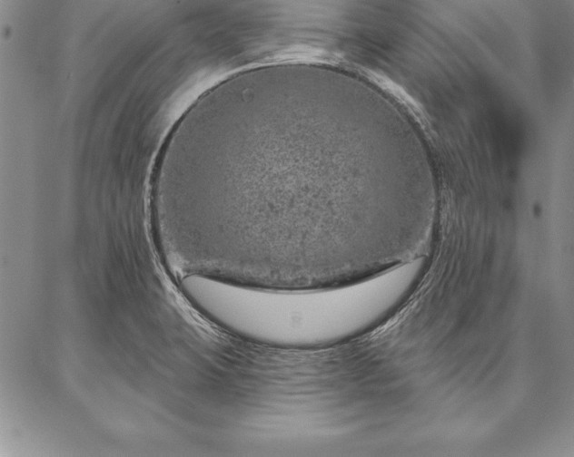 X0000087381423200704271546