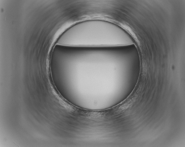 X0000087381424200704271546