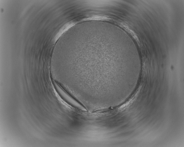 X0000087381425200704271546