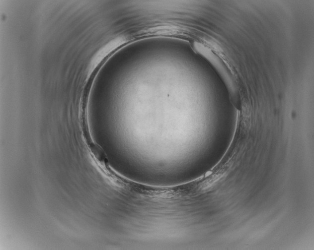 X0000087381426200704271546