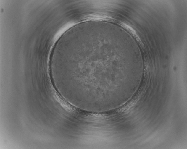 X0000087381427200704271546