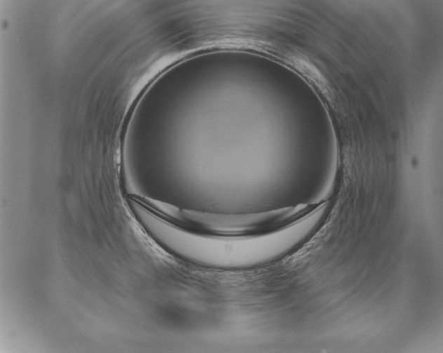 X0000087381428200704271546