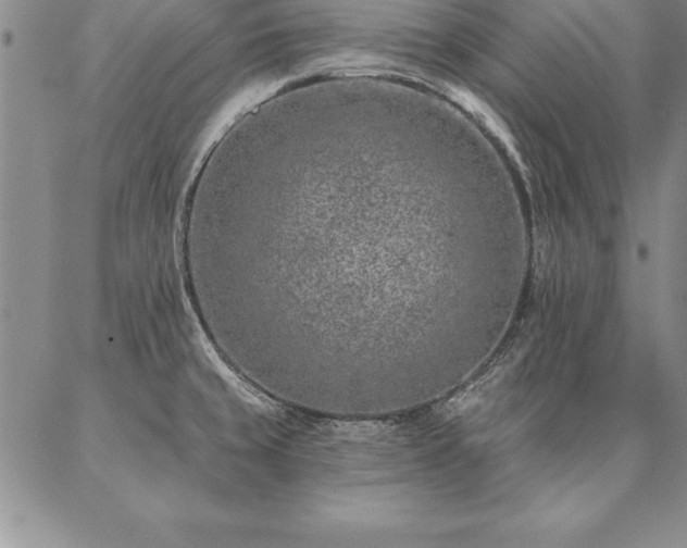 X0000087381429200704271546