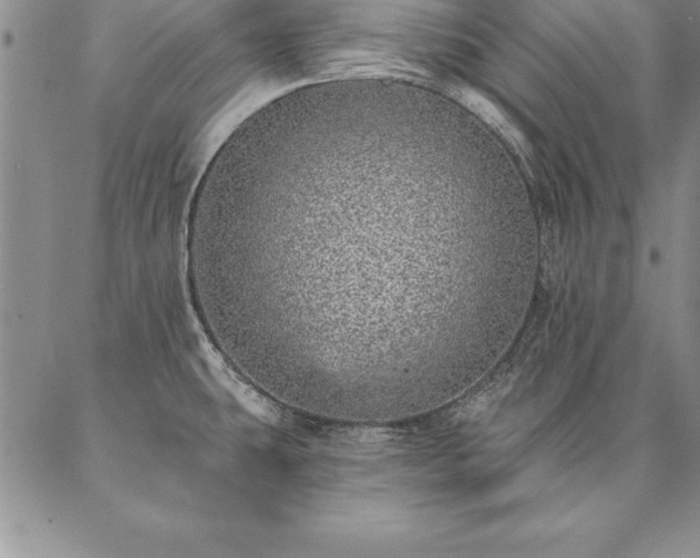 X0000087381431200704271546