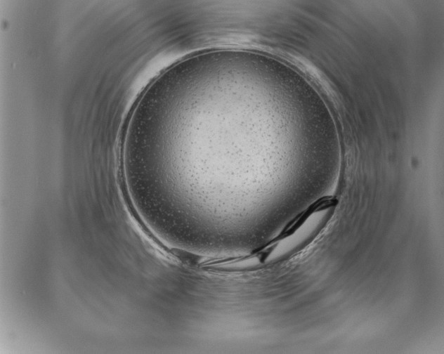 X0000087381432200704271546