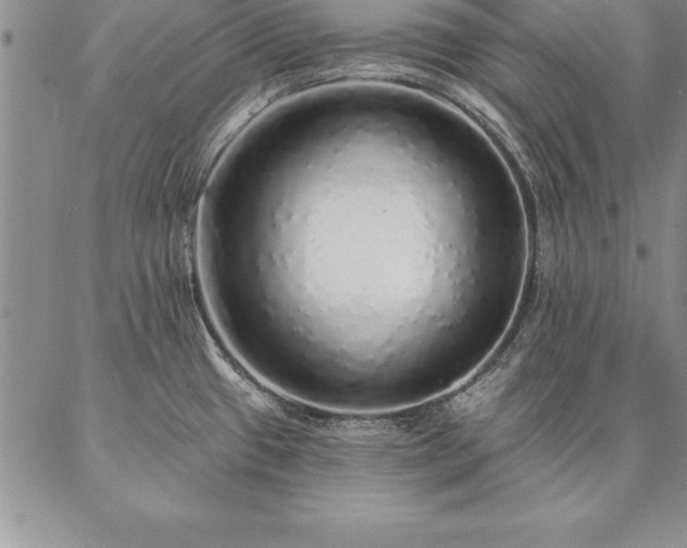 X0000087381433200704271546