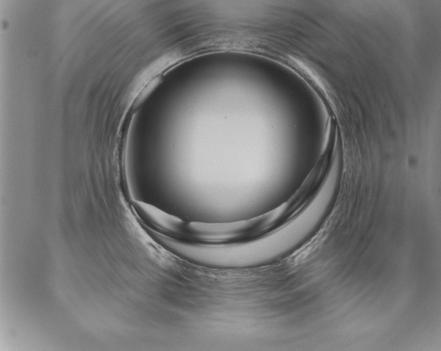 X0000087381434200704271546