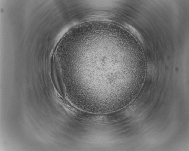 X0000087381435200704271546