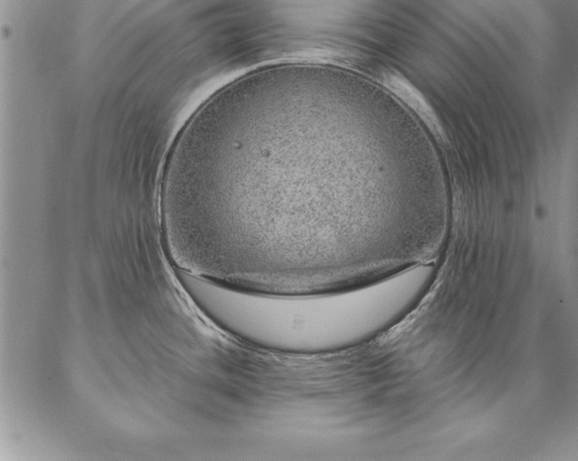 X0000087381436200704271546