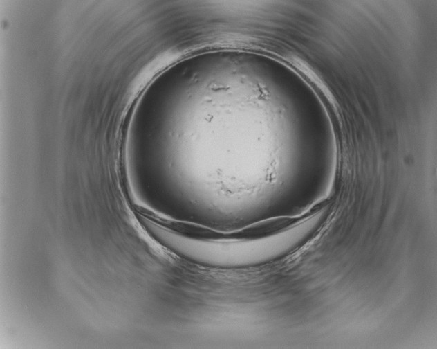 X0000087381437200704271546