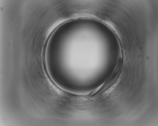 X0000087381438200704271546