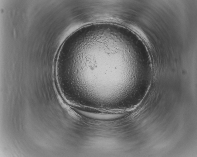 X0000087381439200704271546