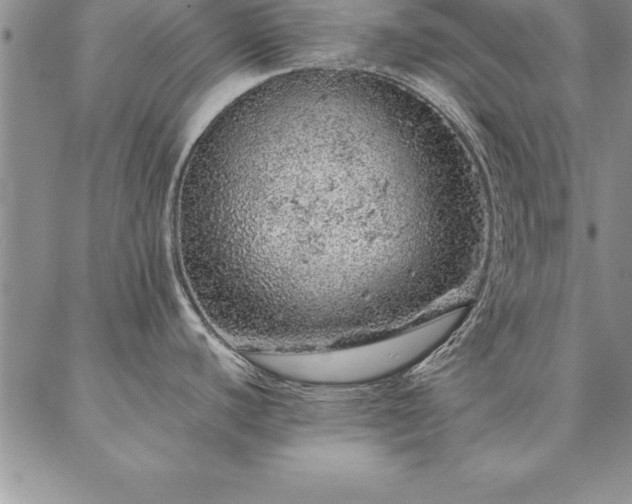 X0000087381440200704271546