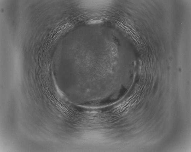 X0000087381441200704271545