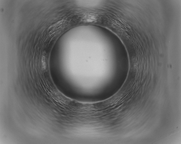 X0000087381442200704271545