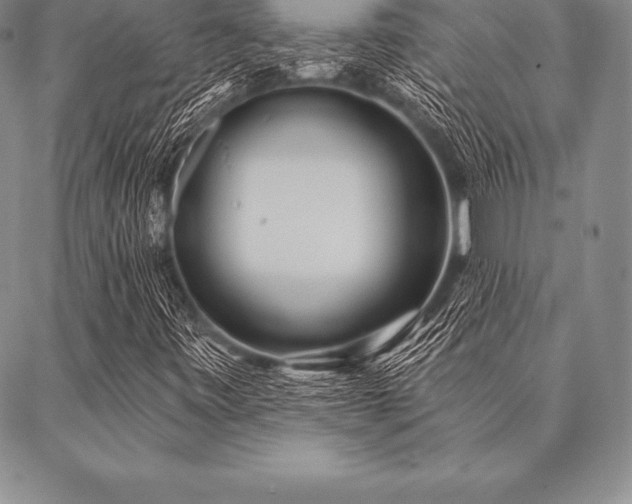 X0000087381443200704271545