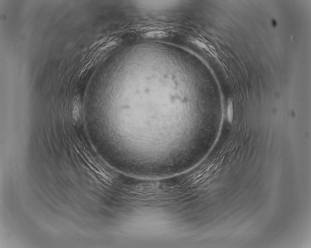 X0000087381444200704271545