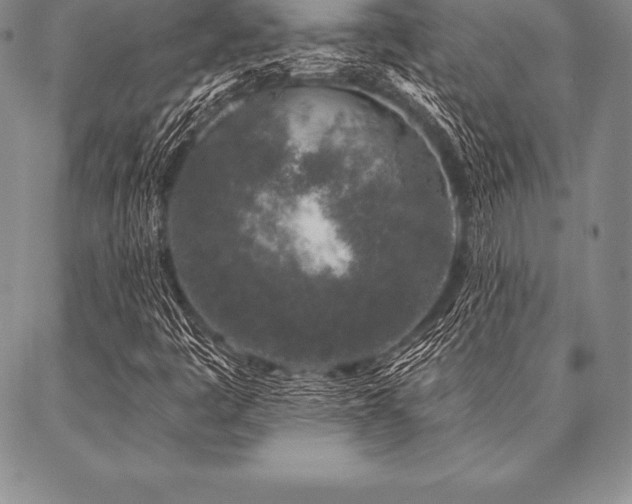 X0000087381445200704271545