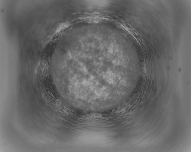 X0000087381446200704271545