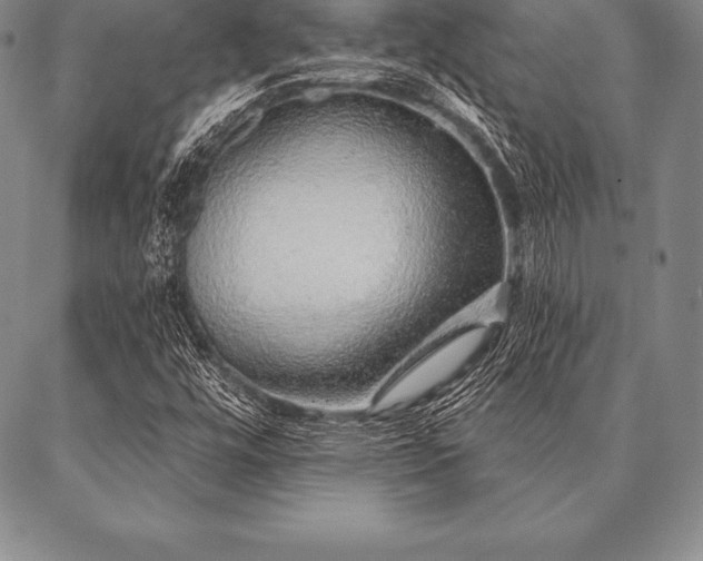 X0000087381448200704271545