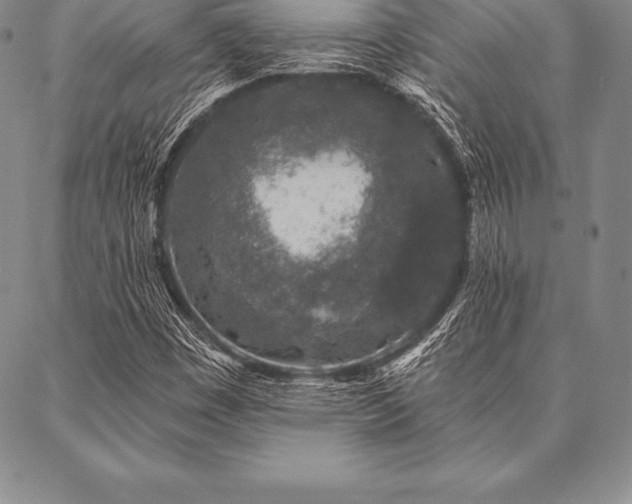 X0000087381449200704271545