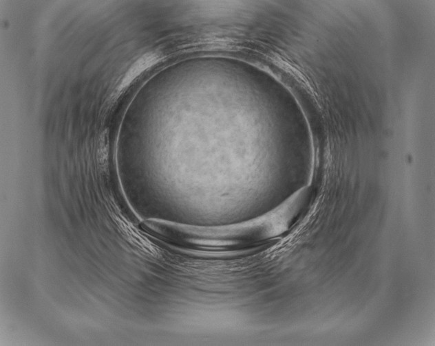 X0000087381450200704271545