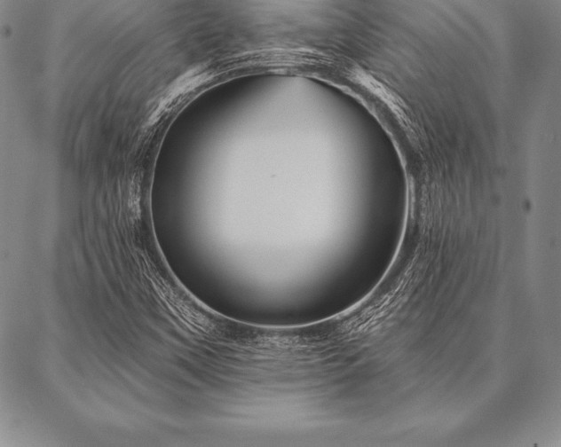 X0000087381451200704271545