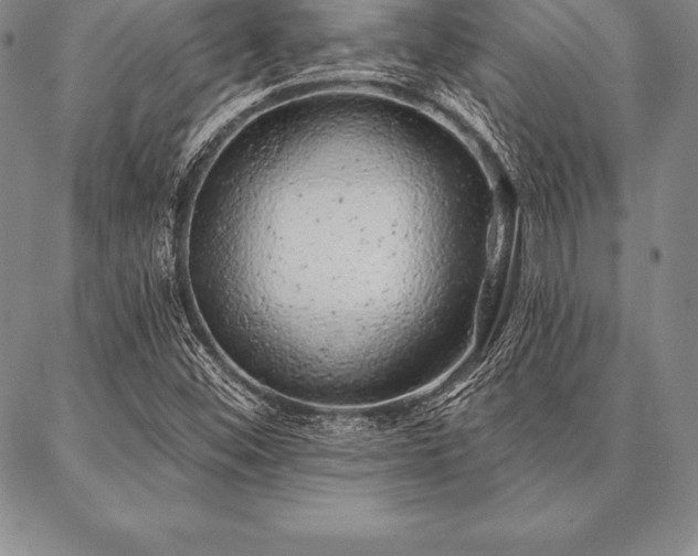 X0000087381452200704271545