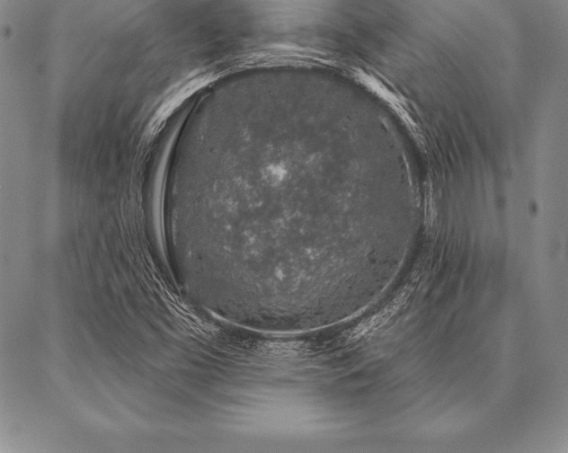 X0000087381453200704271545