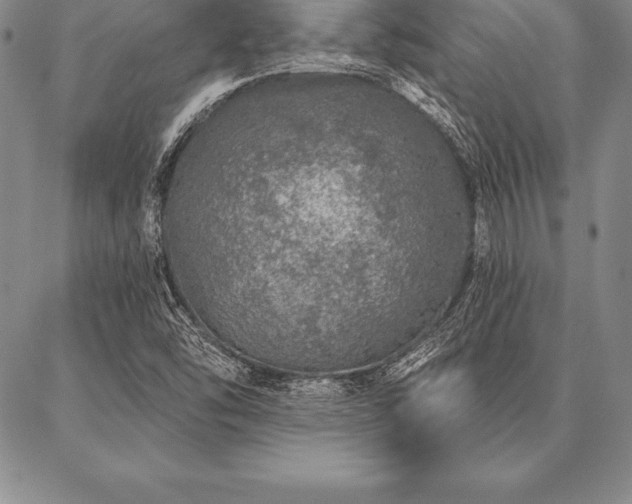 X0000087381454200704271545