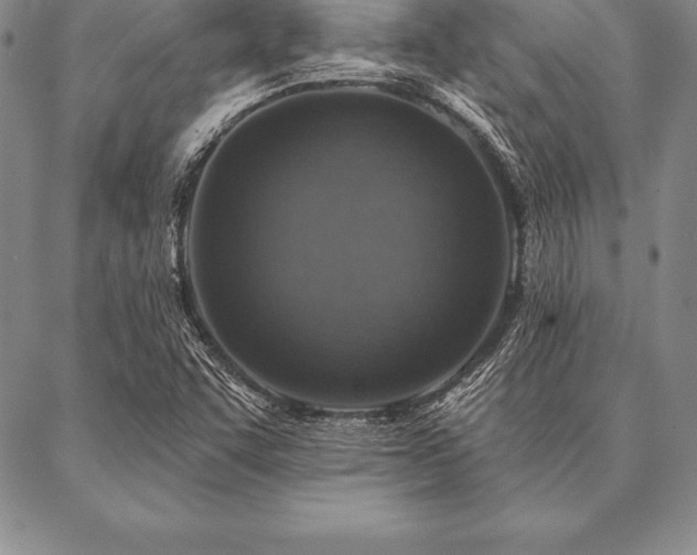 X0000087381455200704271545